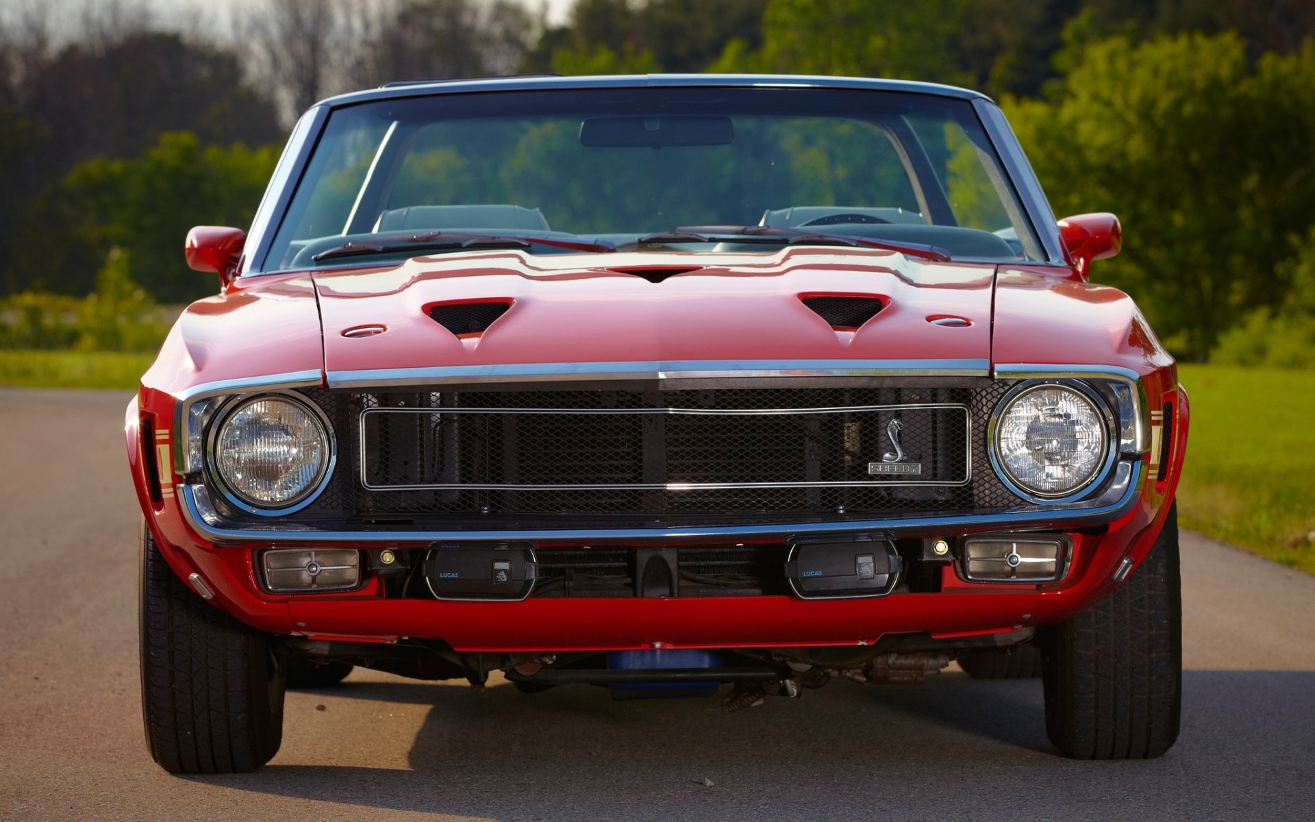 ford mustang shelby gt500 cabriolet 1969 muscle car muscle car avant