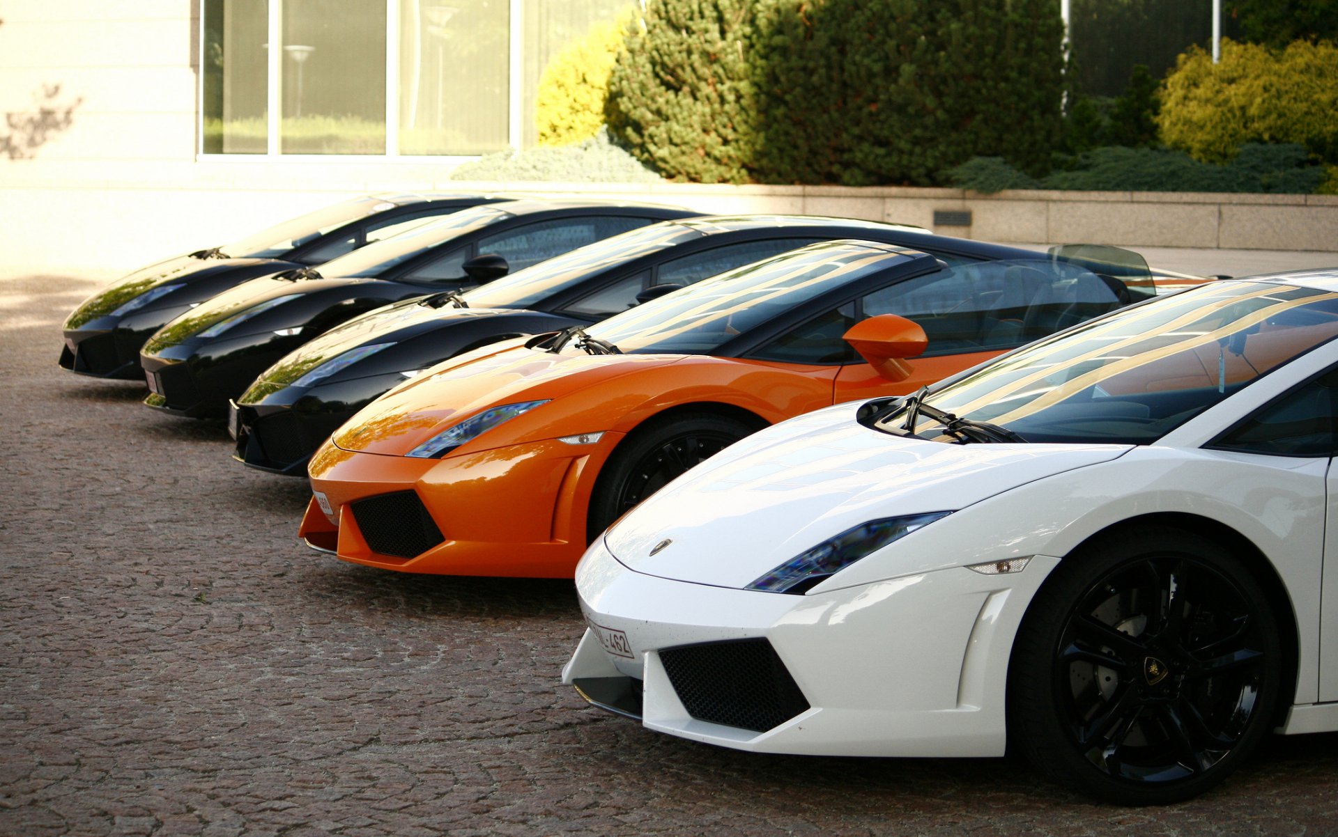 lamborghini gallardo white black orange front lamborghini gaillardo building tree