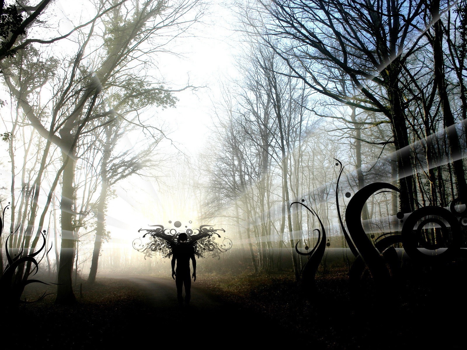 angst wald schatten