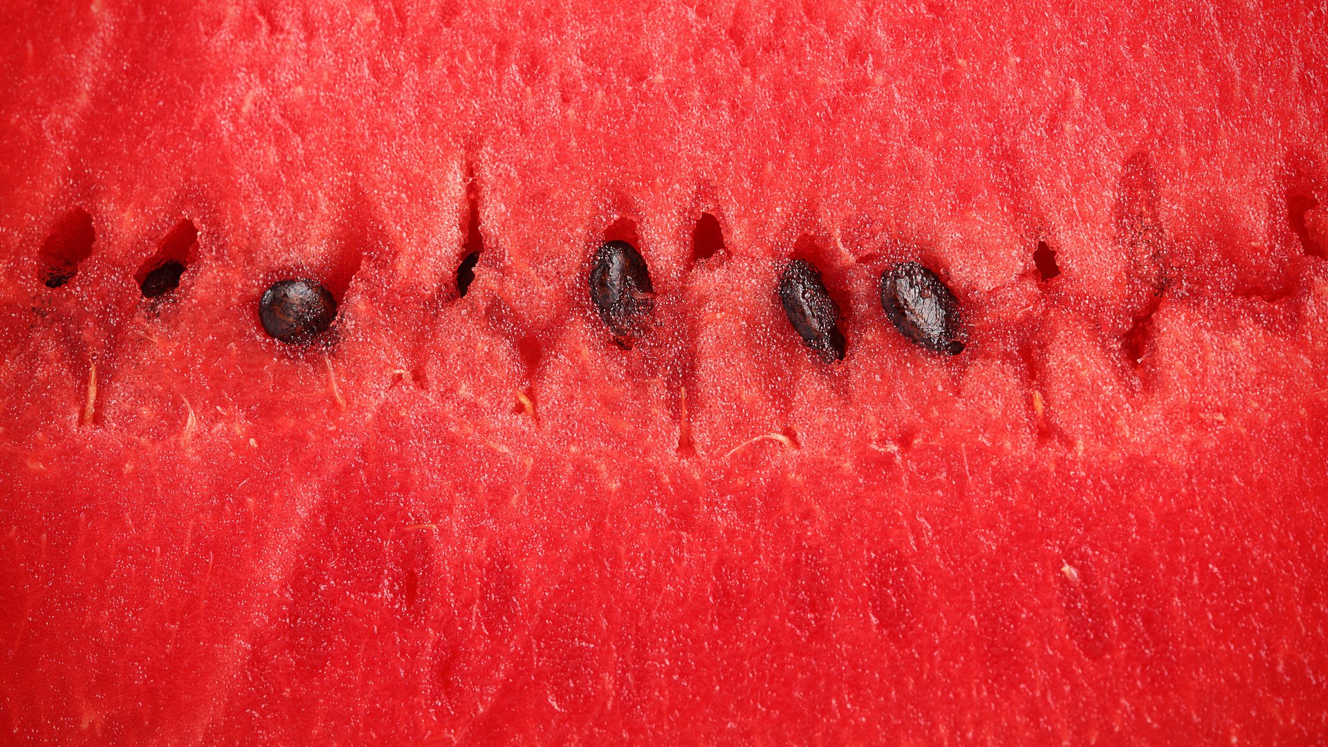 fruchtfleisch wassermelone beere makro