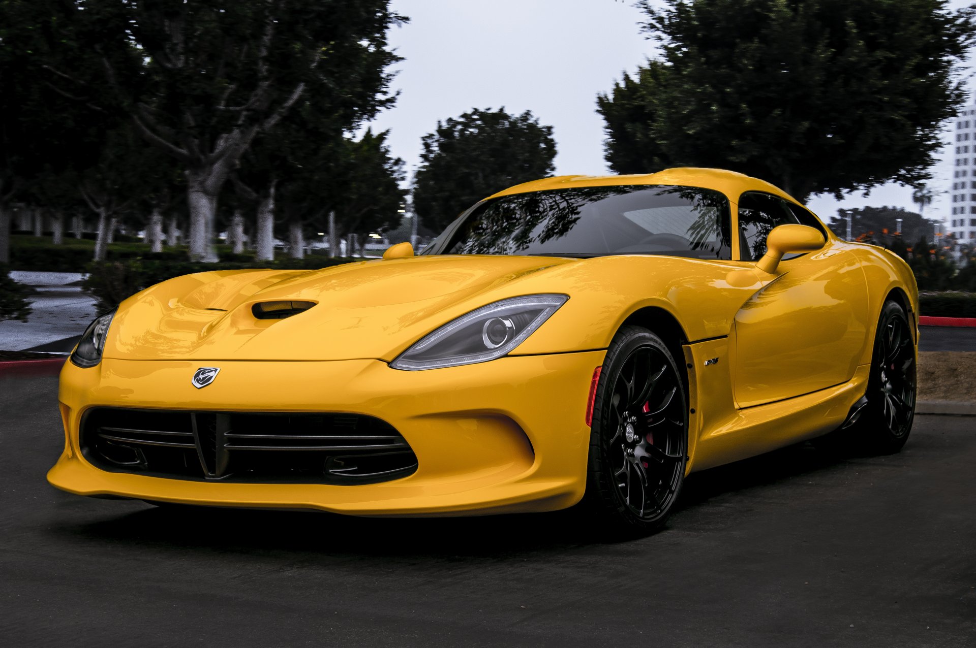 esquiver vipère cent gts jaune dodge viper vue de face arbres