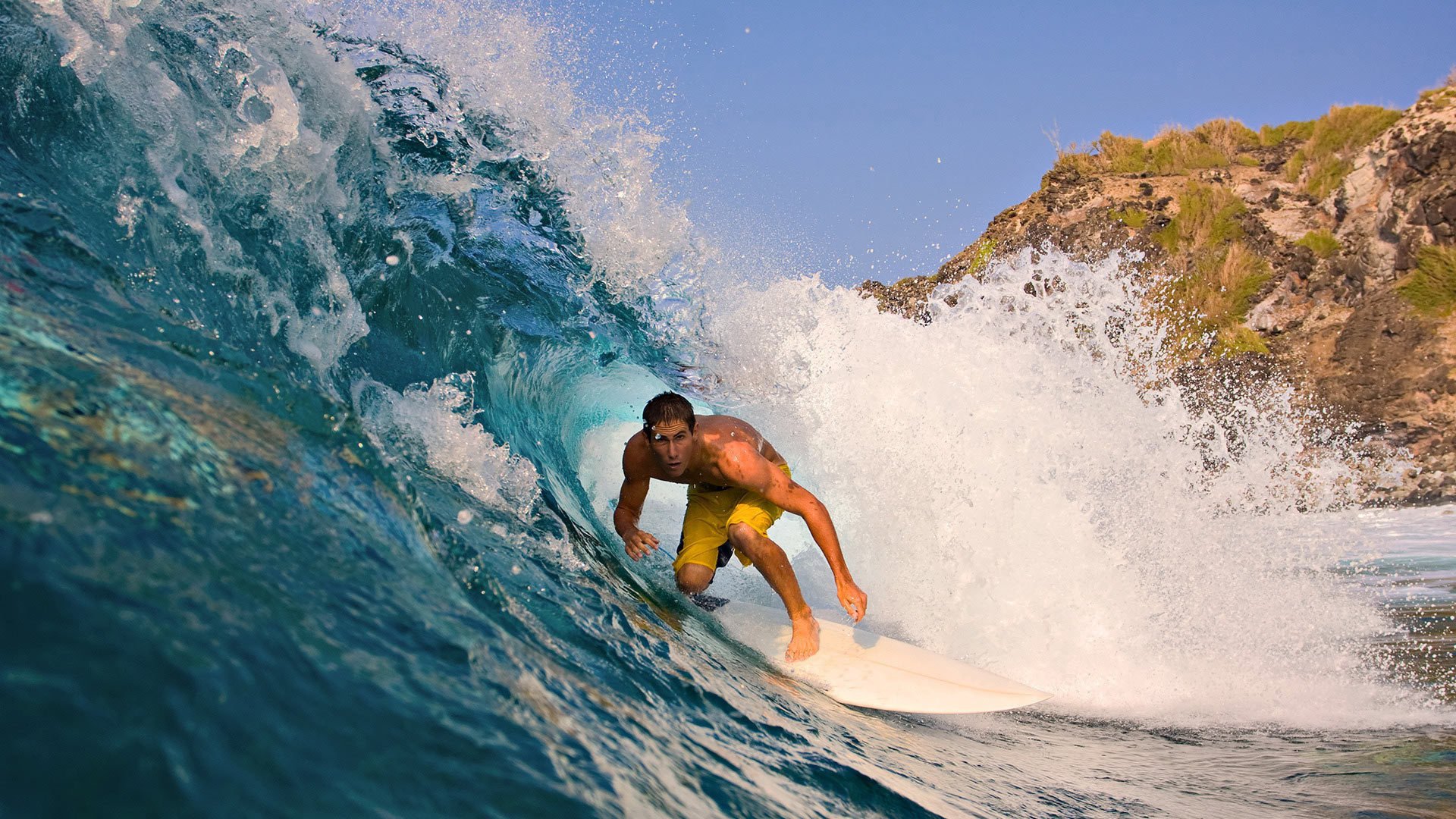 urfing wave male the ocean grass mountain surfer