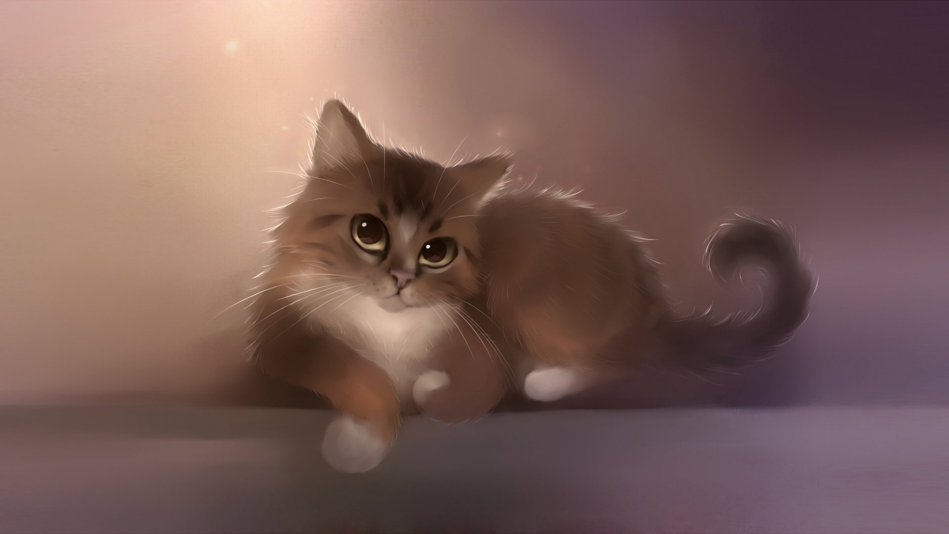 gatto sguardo disegno gatto gattino coda zampe baffi