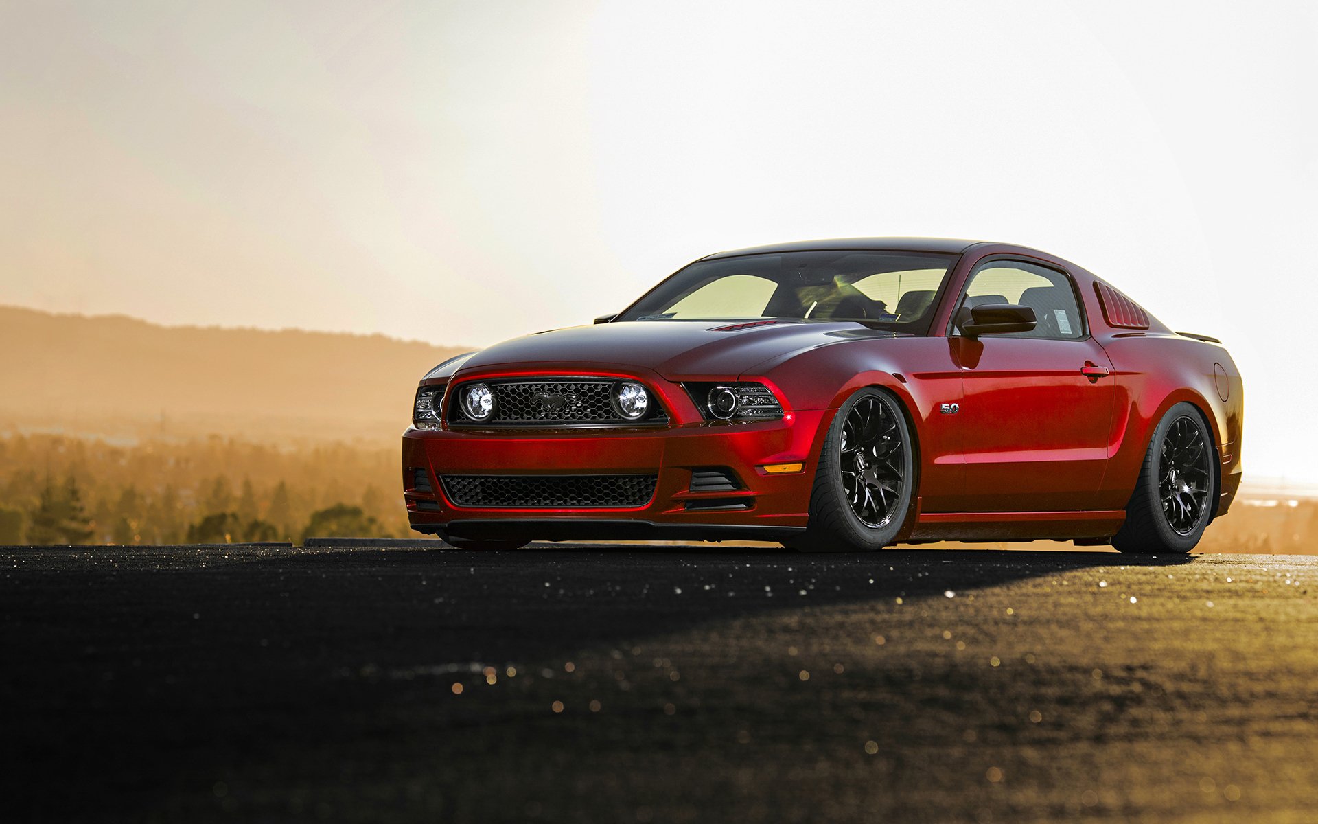 ford mustang gt rojo coche coche del músculo ford mustang papel pintado del coche