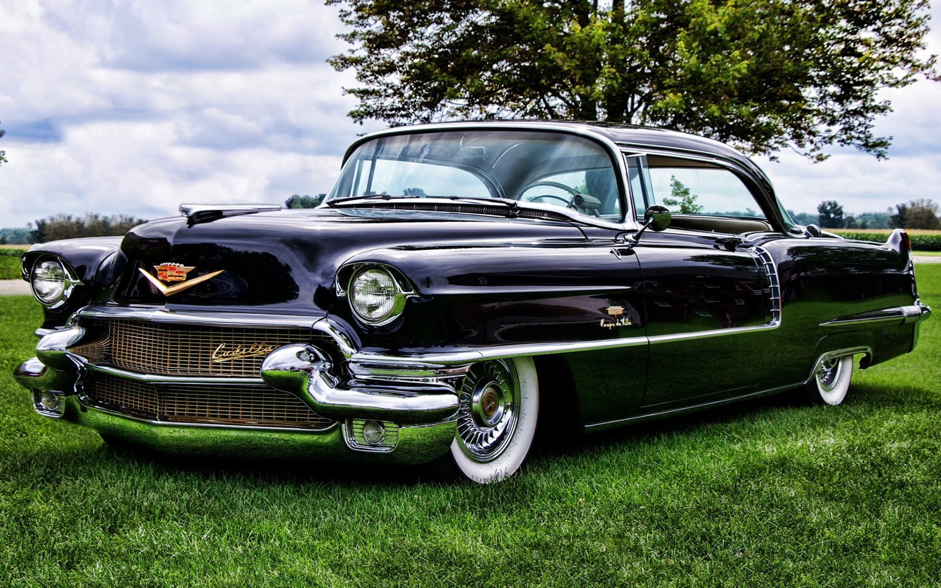 cadillac zweiundsechzig coupe de ville 1956 cadillac front baum himmel