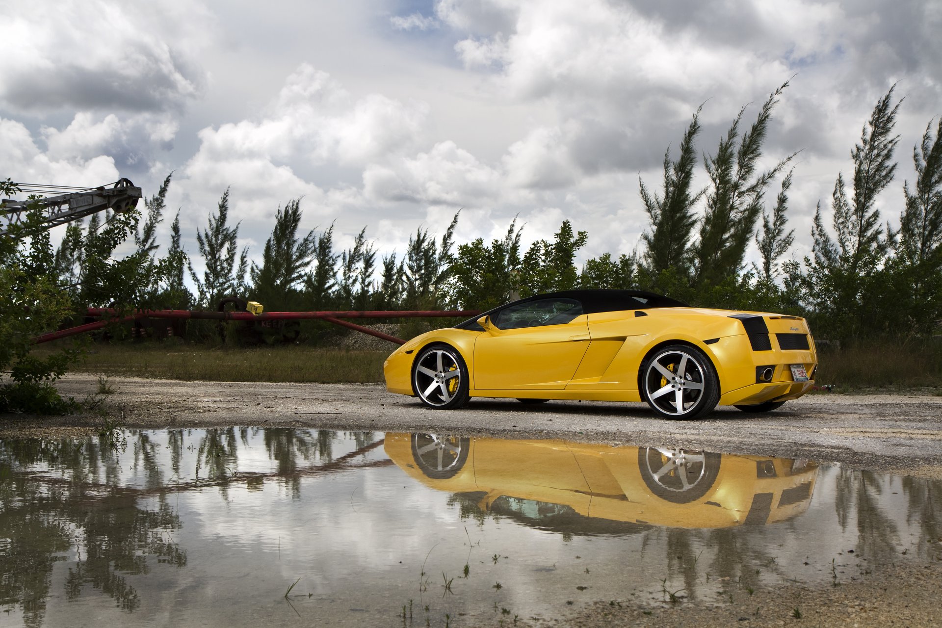 lamborghini gallardo lp560-4 spyder gelb lamborghini gallardo cabrio rückansicht felgen pfütze bäume gras