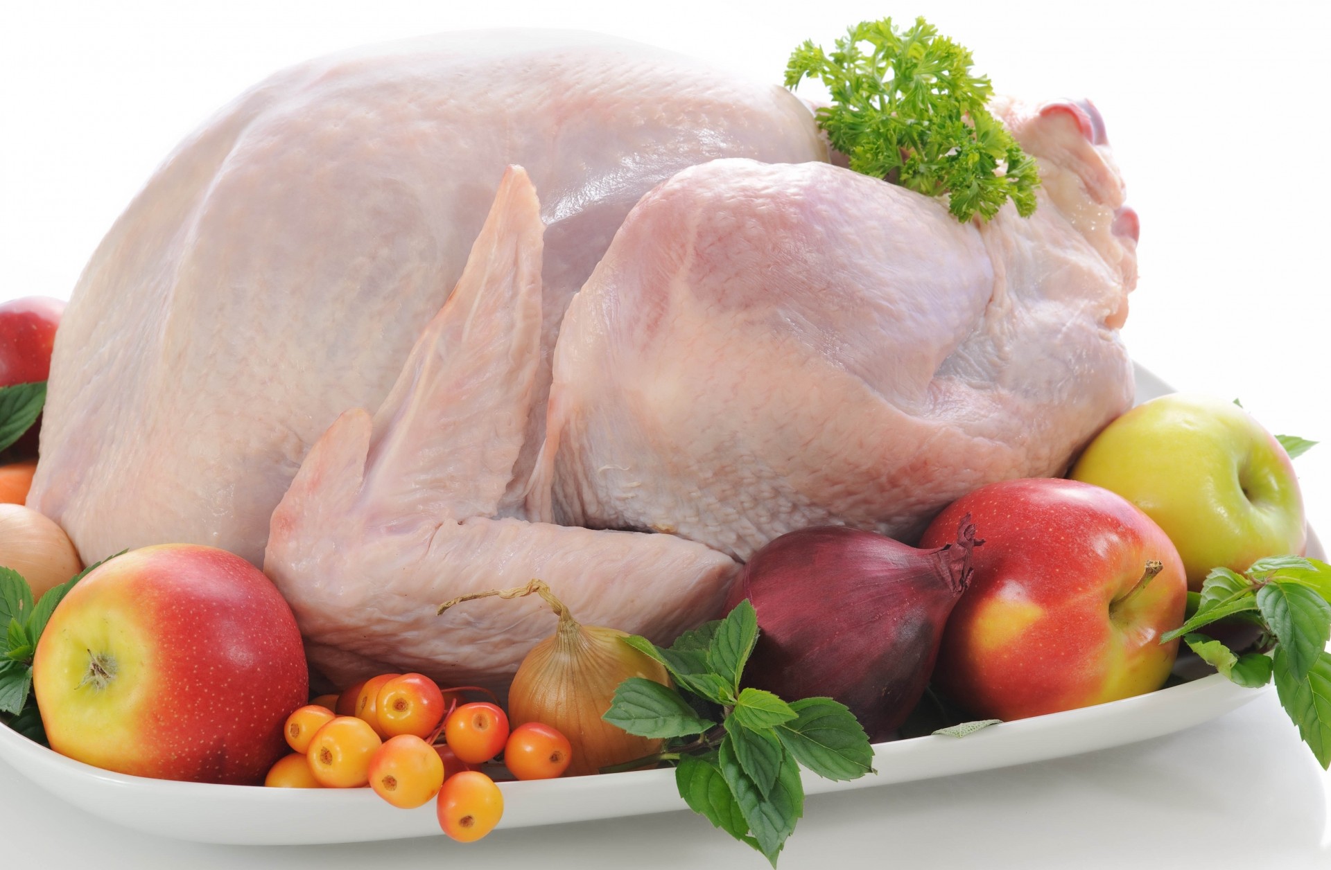 fruits plats fond blanc gaz 24 plaque table poulet viande