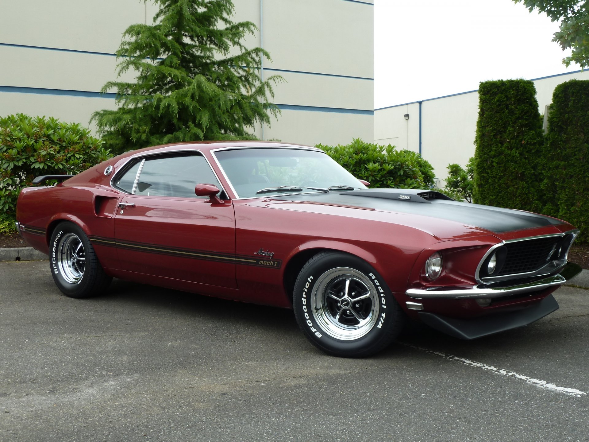 ford mustang mach 1 1969 coche del músculo coche del músculo