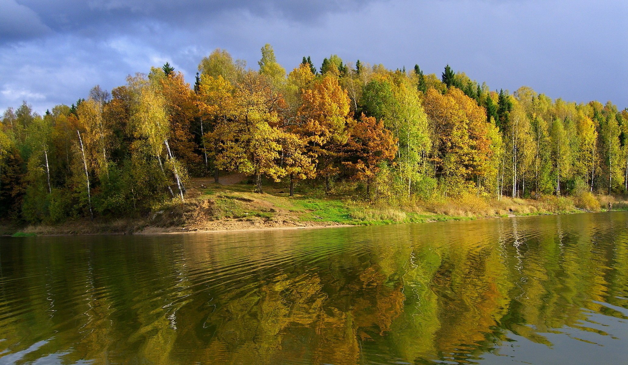 otoño río costa cielo árboles