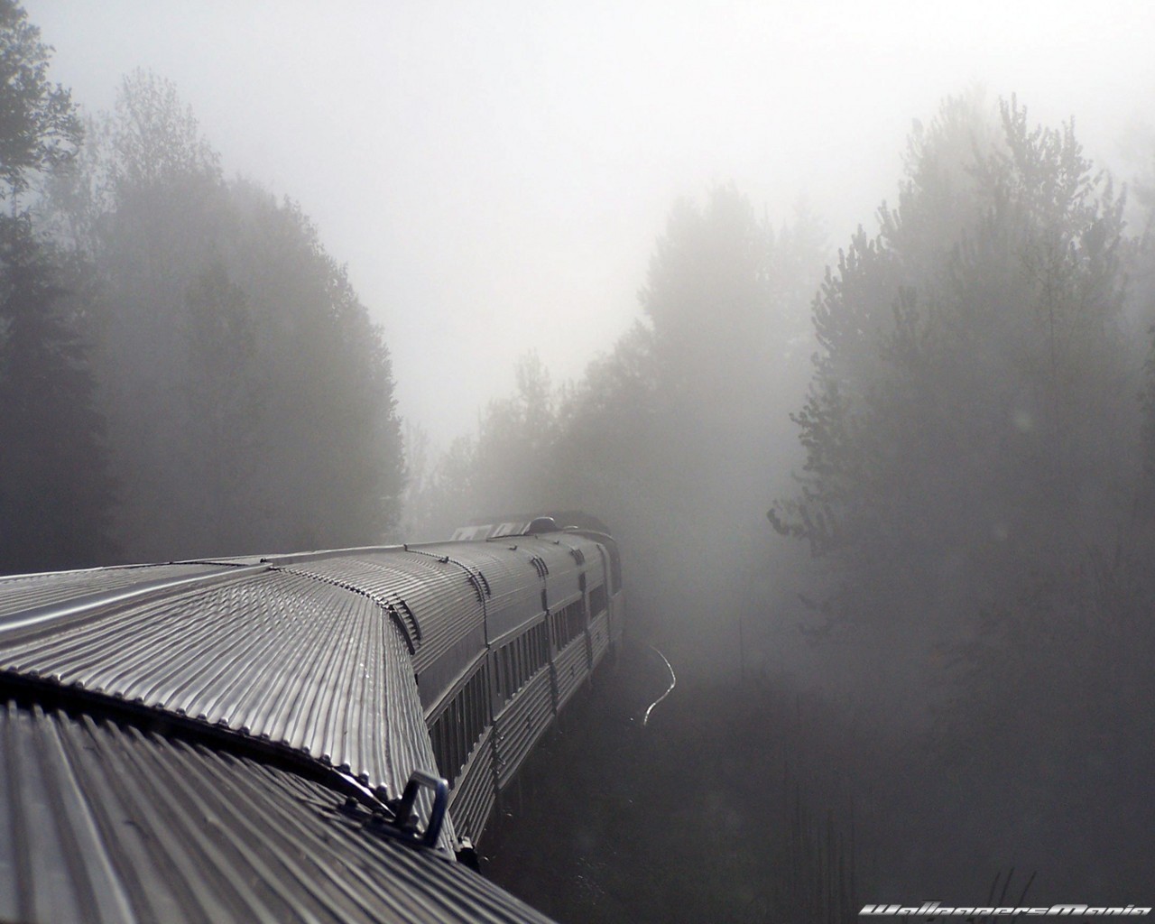 nebbia treno carri