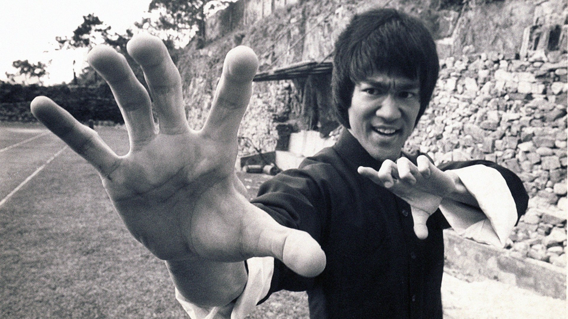 jeet kune-do arti marziali sport bruce lee