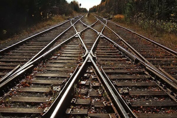 Many railroad tracks intersect