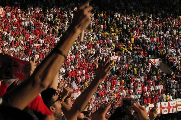 Photos of cheering fans at the stadium