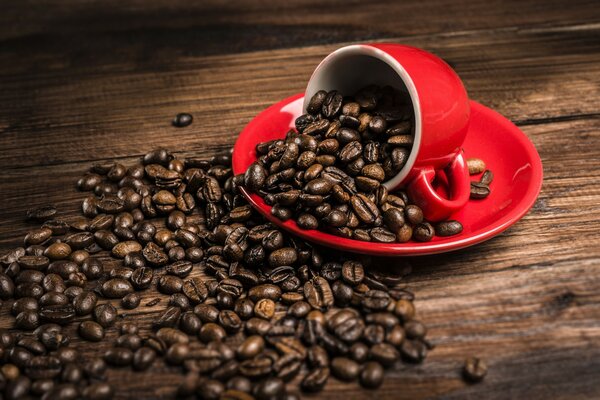 Caffè sbriciolato e tazza rovesciata, bellissime pesche con fogliame