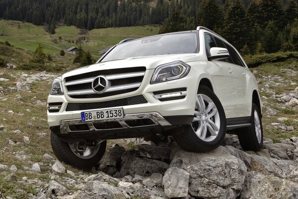 Mercedes SUV - winner of off-road