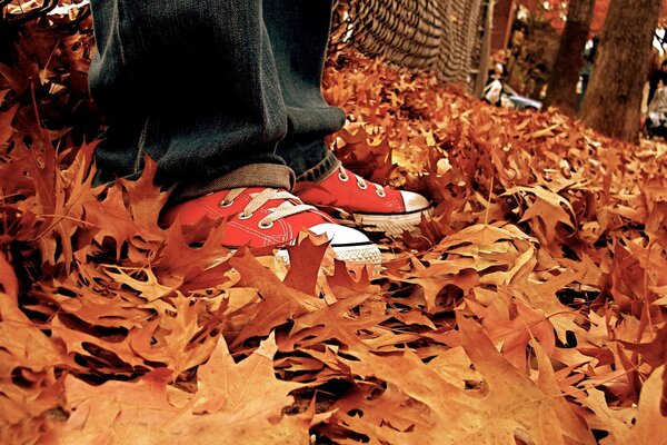 A guy in sneakers stands on autumn leaves