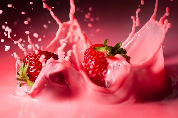 Fragole succose nel latte