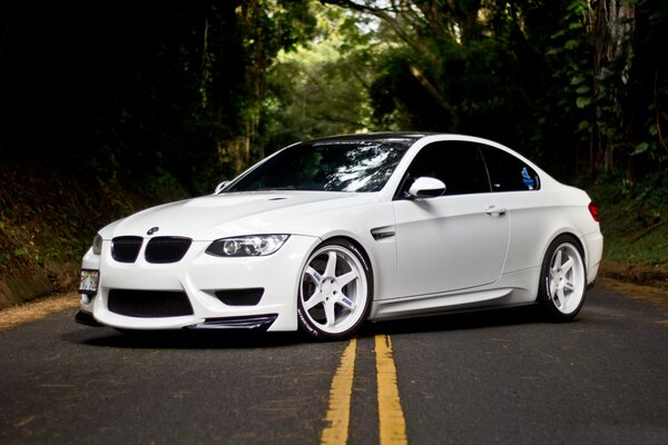 White BMW on the road in the woods