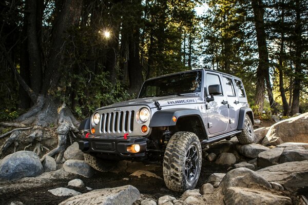 Jeep roule sur la route et les rochers dans la forêt