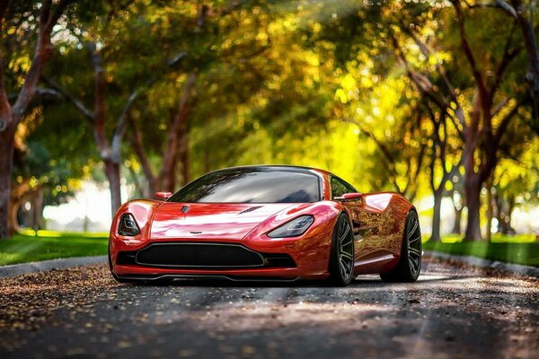 Aston martin rouge dans le parc parmi les arbres gracieux