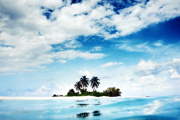 Isola solitaria nel mezzo dell oceano