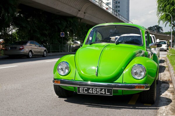 Scarabeo di auto verde succosa su una strada cittadina