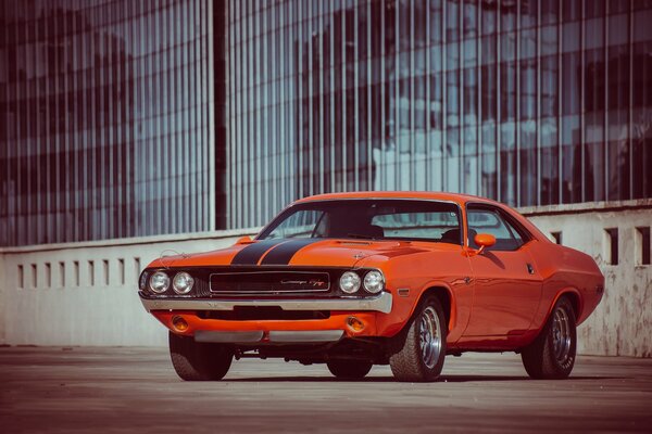 Arancione Dodge Challenger sulla strada