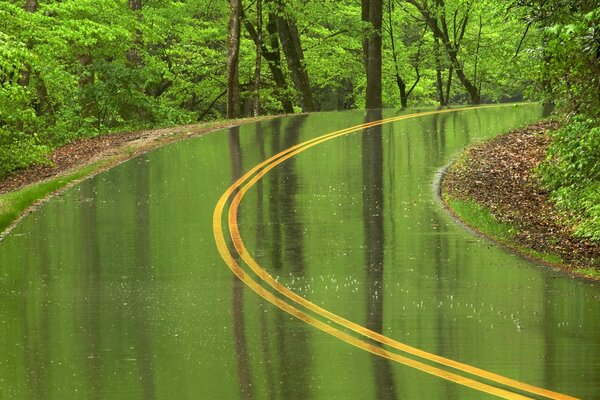La strada verde nel cuore della natura