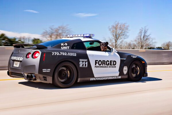 A service dog looks out for criminals from a sports Nissan