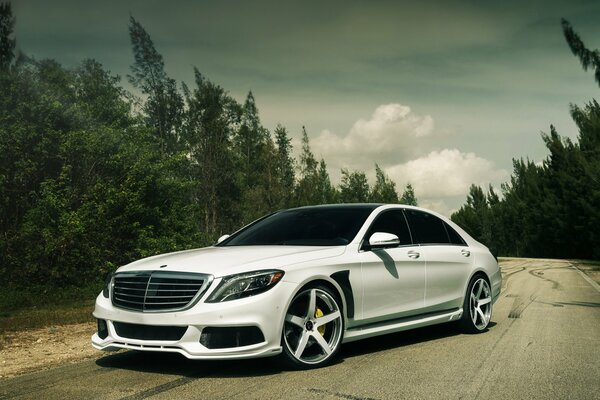 Mercedes-Benzes s550 tuned white on the road against a forest background front view