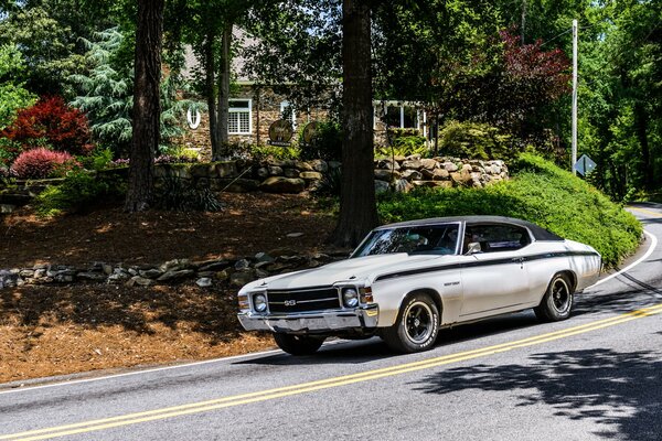 Carta da parati chevrolet chevelle 1972 sullo sfondo della foresta