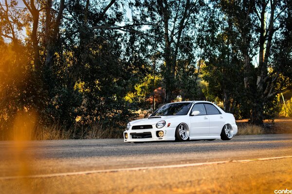 Subaru impreza fondo de pantalla en el fondo del bosque