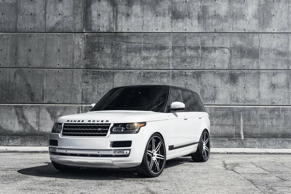 White land rover with dark windows against a gray wall