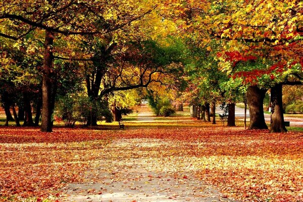 Colores de otoño en todo su esplendor