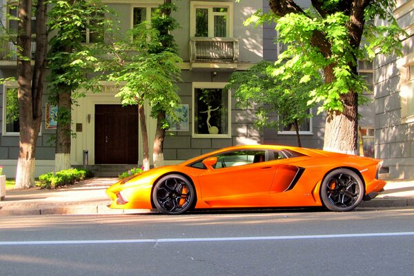 Lamborghini arancione bella macchina
