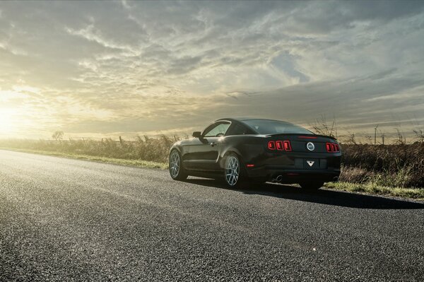 On the road under the bright sun, a black Ford Mustang 