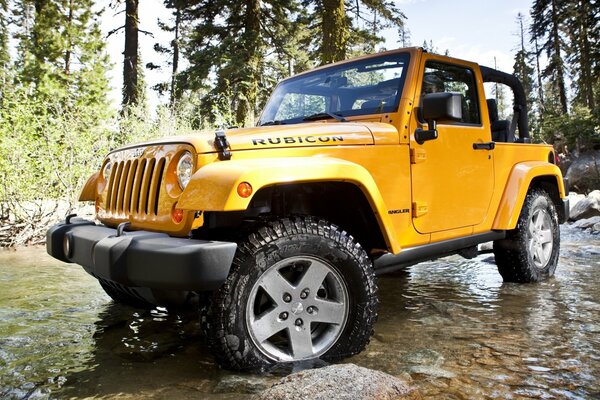 Jeep rengler rubicon on the background of nature