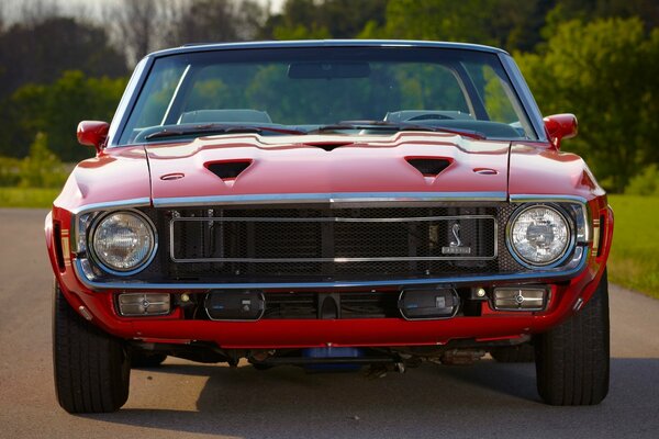 Foto Mustang Shelby convertible gt500 1969 vista de Pereda