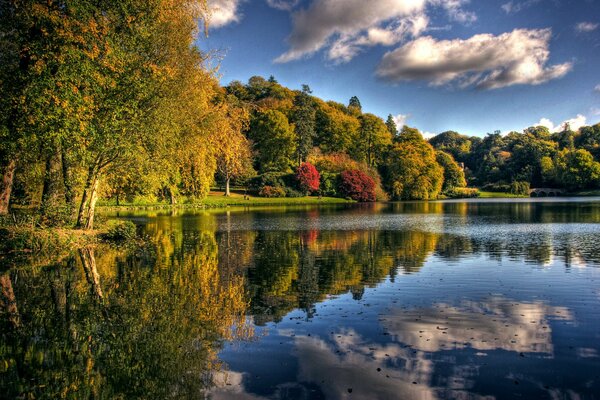 Blue lake near the forest