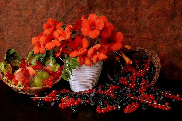 Natures mortes avec des baies. Beaucoup de baies. Bouquet de coquelicots