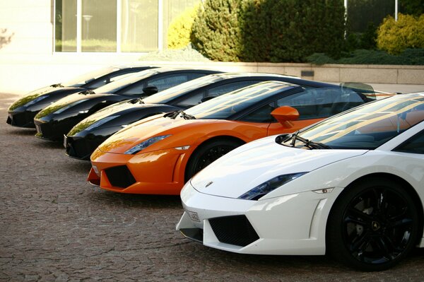 A collection of assorted Lamborghini in front