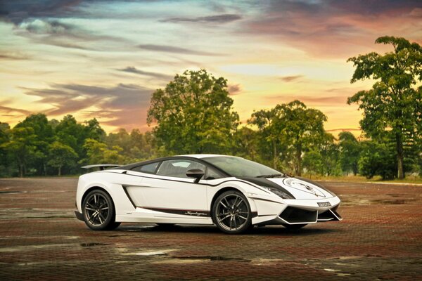 White Lamborghini superlegger on the background of trees and sky