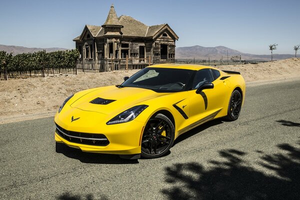 Stingray giallo e limone sullo sfondo di una vecchia casa di legno