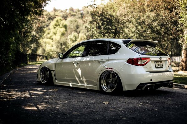 Subaru impreza blanco contra el bosque