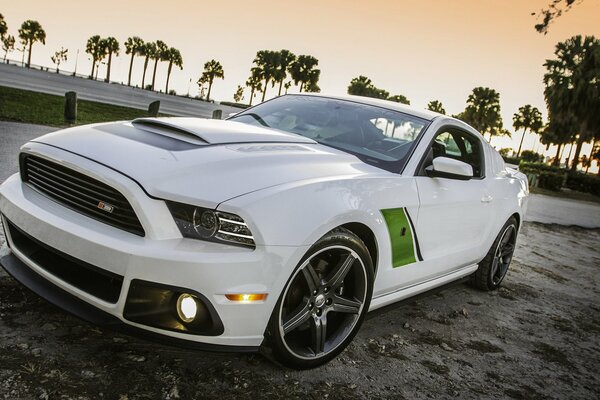 Ford Mustang blanco como la nieve en el fondo de palmeras y puesta de sol