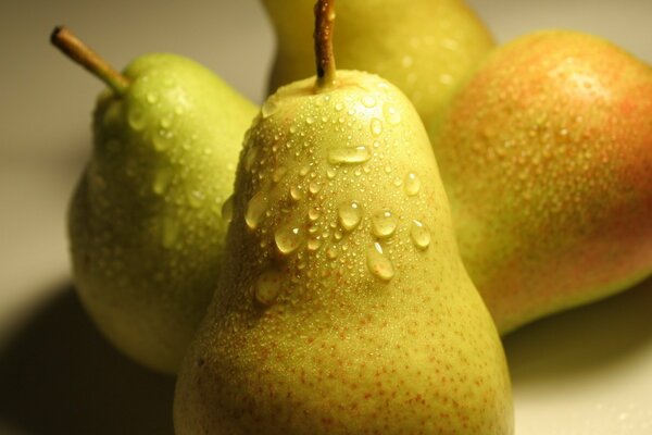 Ripe pears with water drops close-up