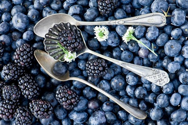 Delicious blueberries and berries , blackberries with beautiful flowers on spoons