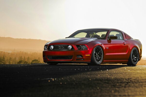 Ford mustang gt, against the background of dawn