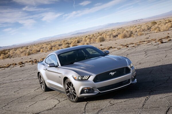 Srebrny Ford Mustang na horyzoncie