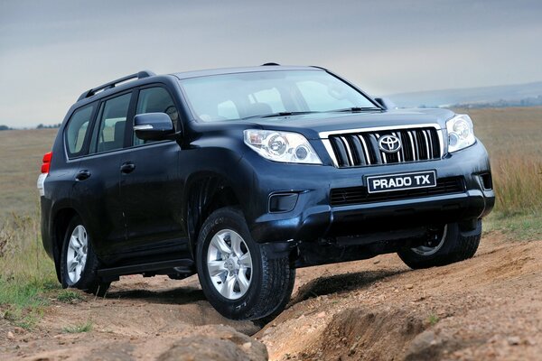 Toyota Land Cruiser in the field, among the off-road